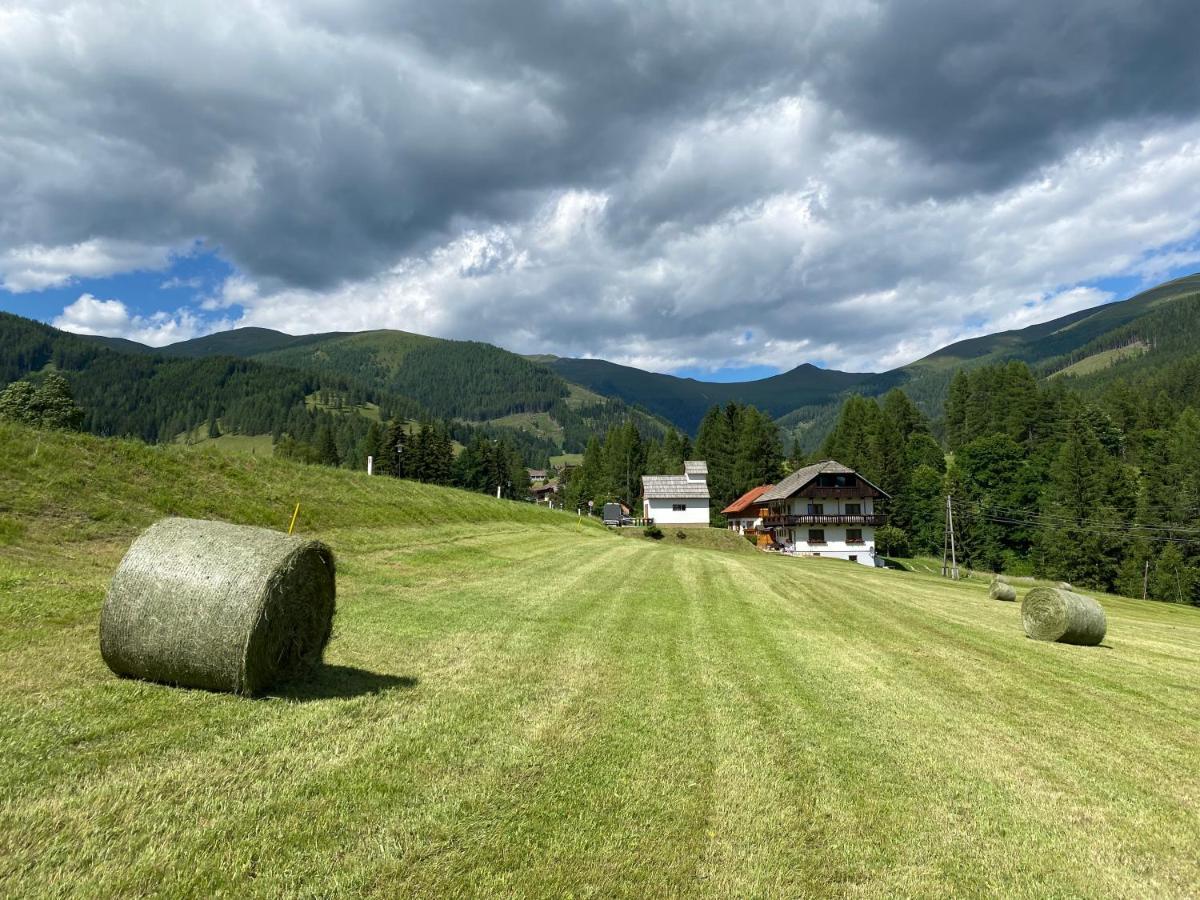 Nockalm Cottage Bad Kleinkirchheim Dış mekan fotoğraf